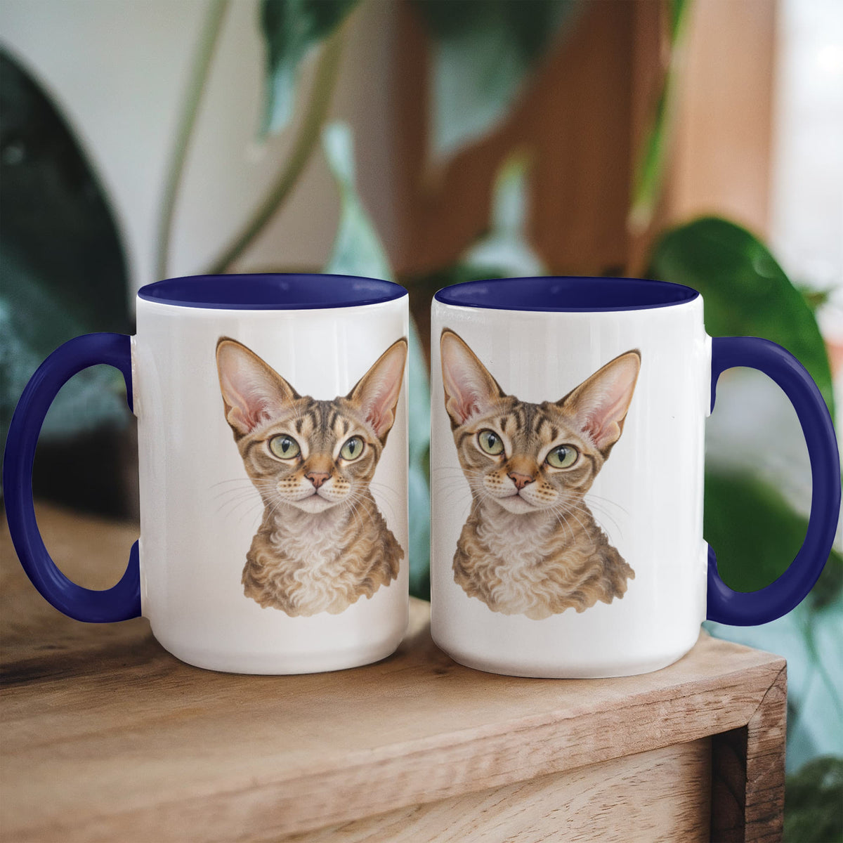 To My Loving Kitties