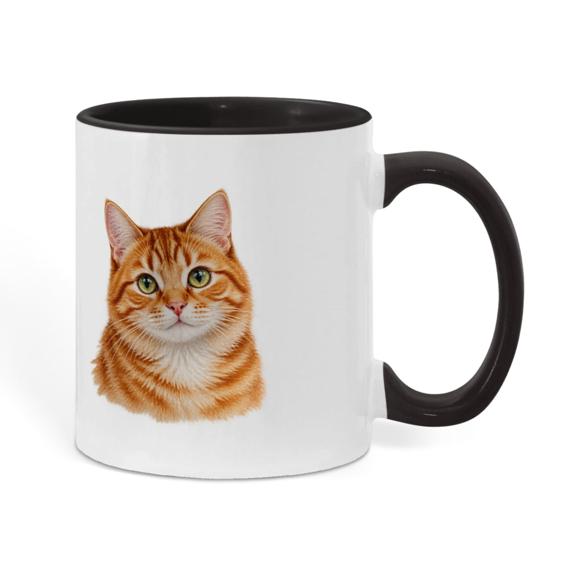 To My Loving Kitties