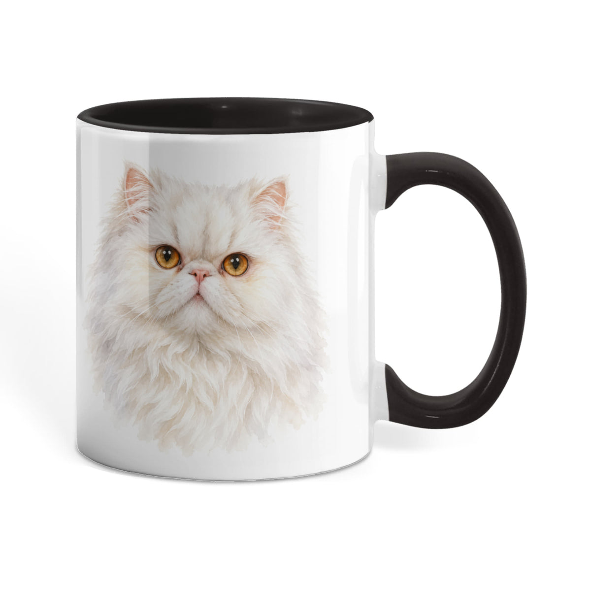 To My Loving Kitties
