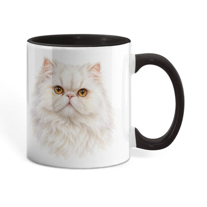 To My Loving Kitties