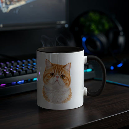 For The Love Of My Kitties