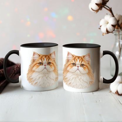 To My Loving Kitties