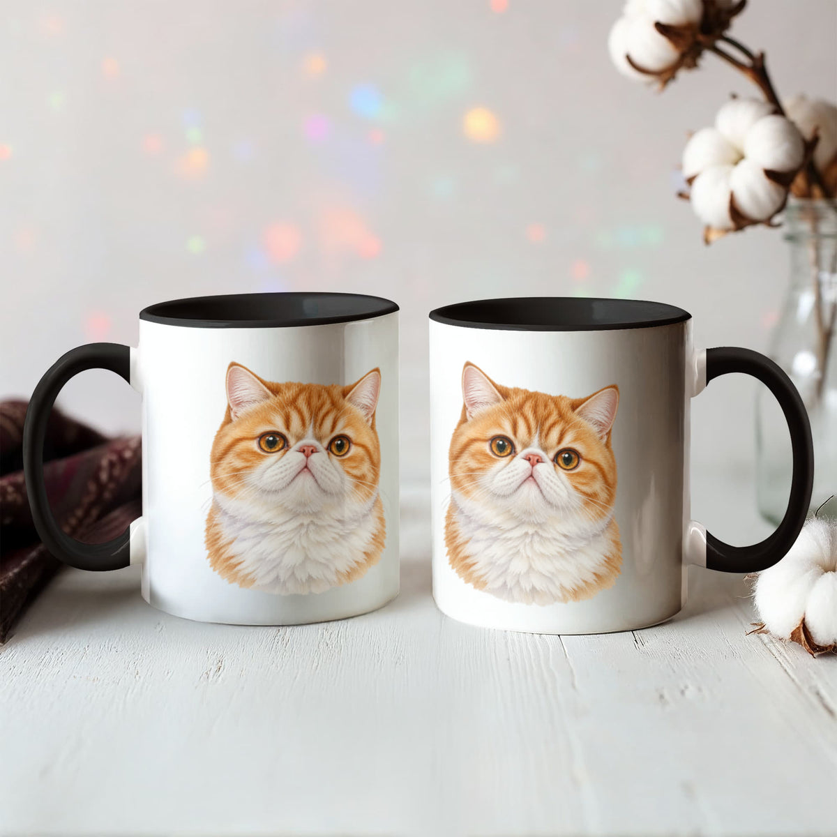 For The Love Of My Kitties