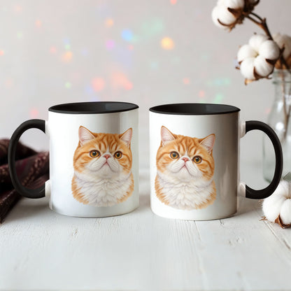 For The Love Of My Kitties