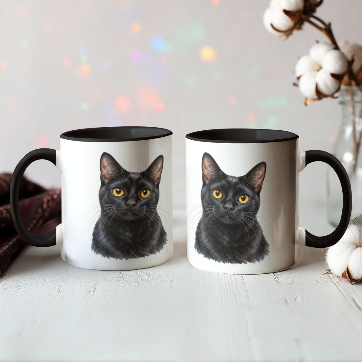 To My Loving Kitties