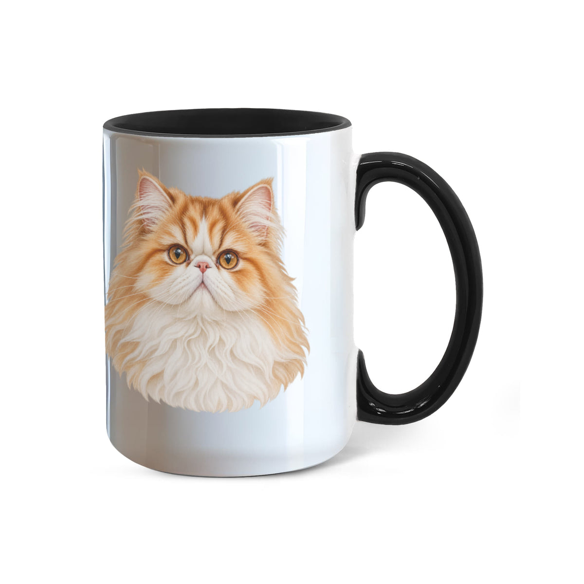 To My Loving Kitties