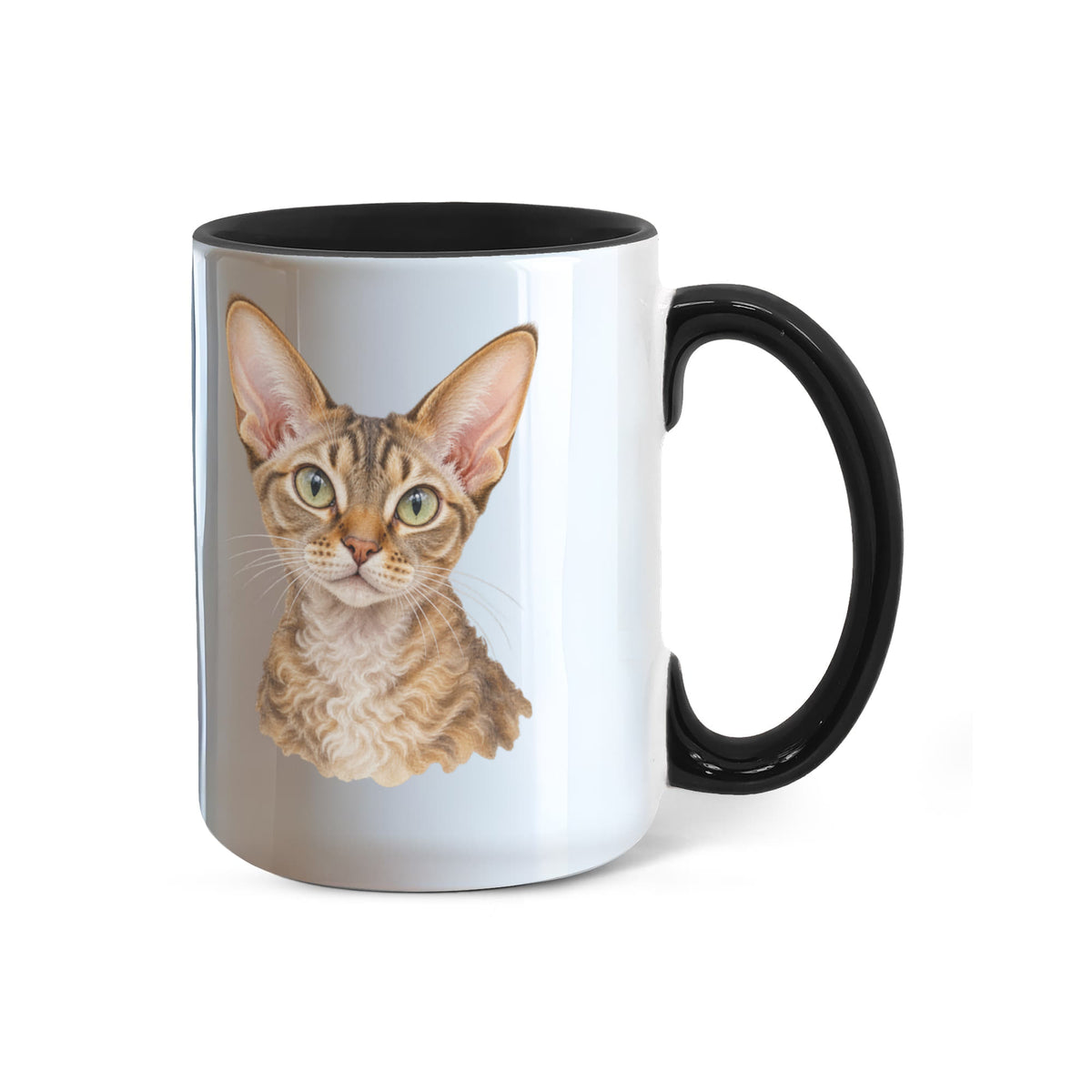 To My Loving Kitties