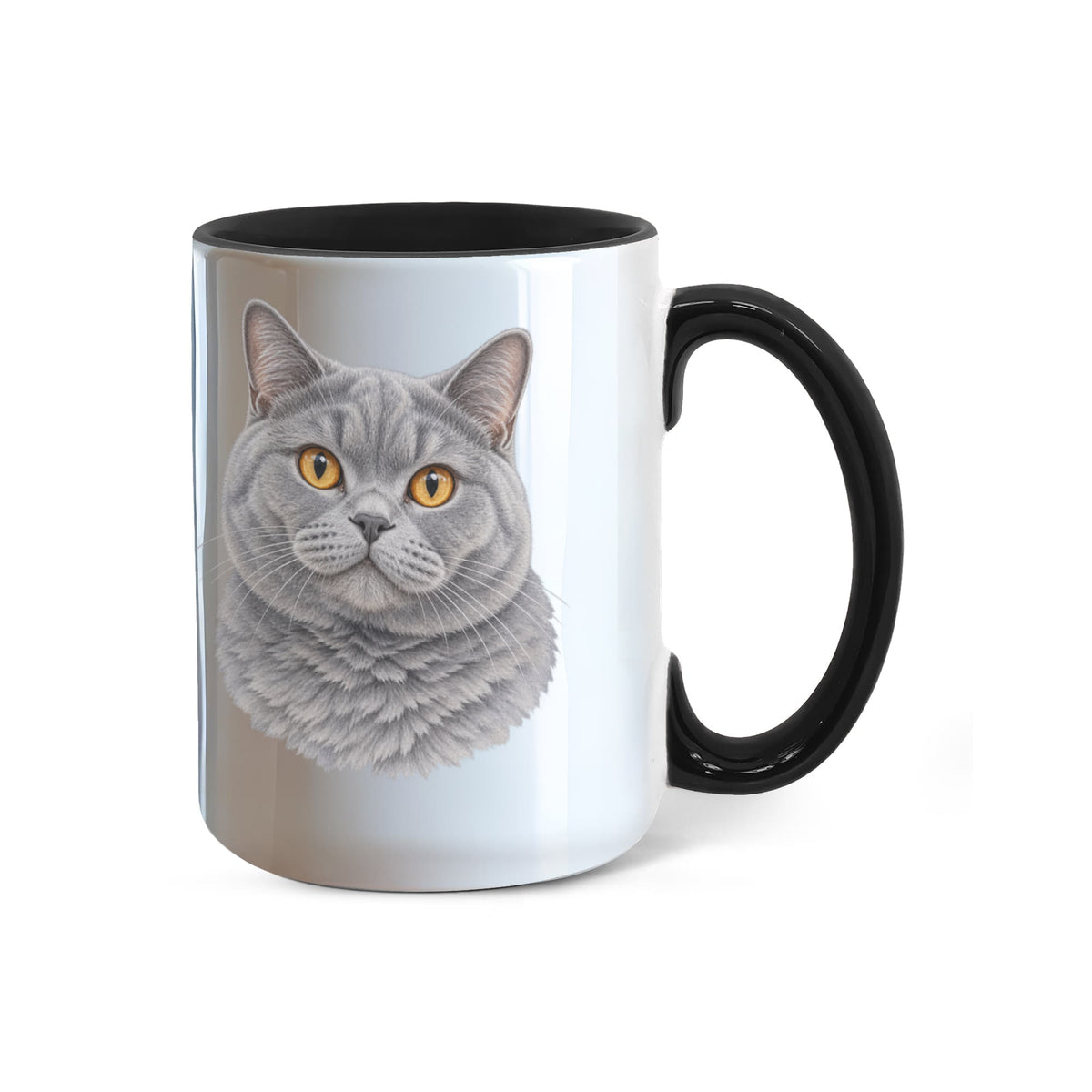To My Loving Kitties