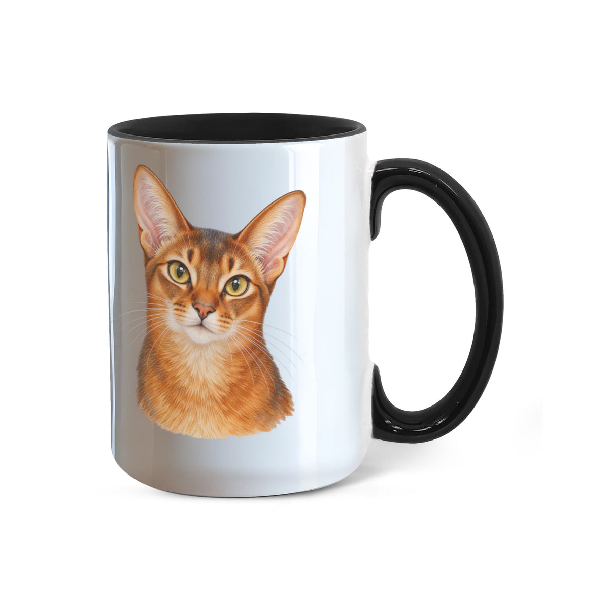 To My Loving Kitties