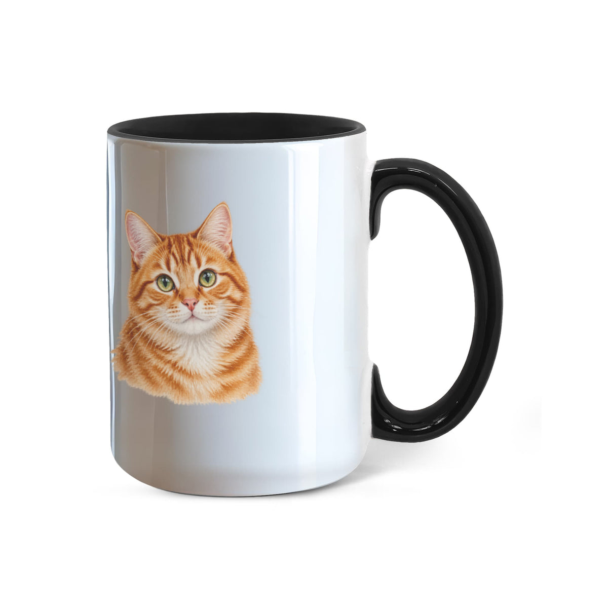 To My Loving Kitties