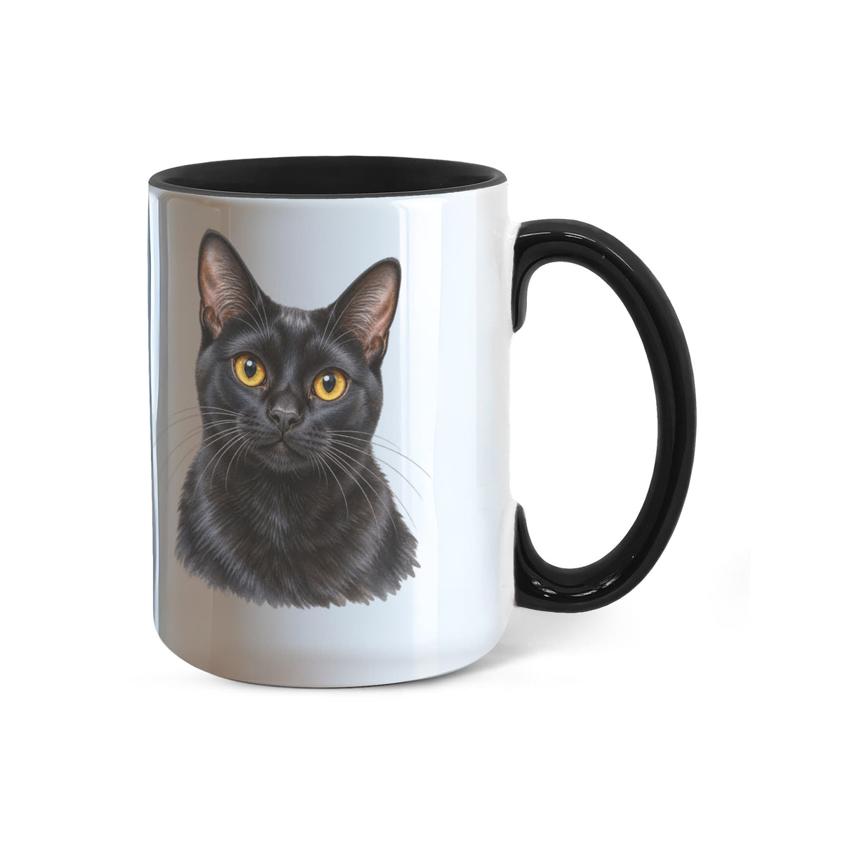 To My Loving Kitties