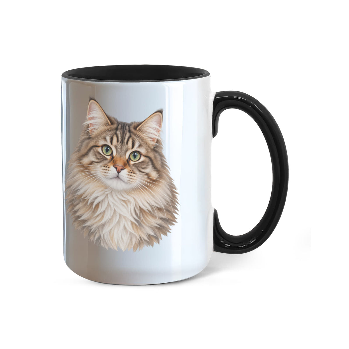 To My Loving Kitties