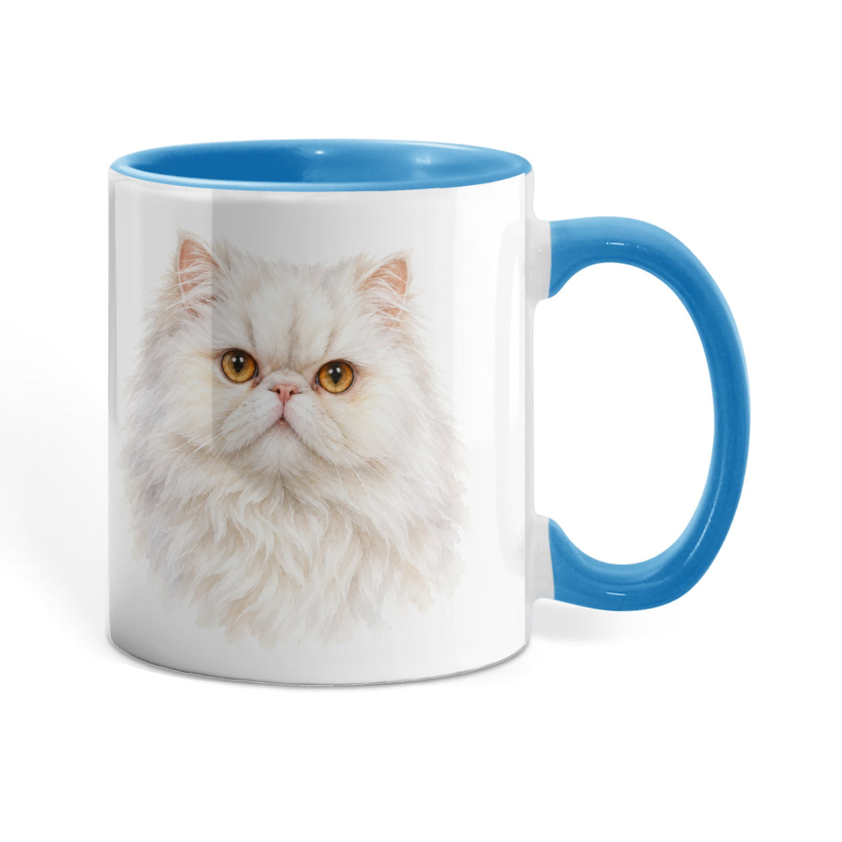 To My Loving Kitties