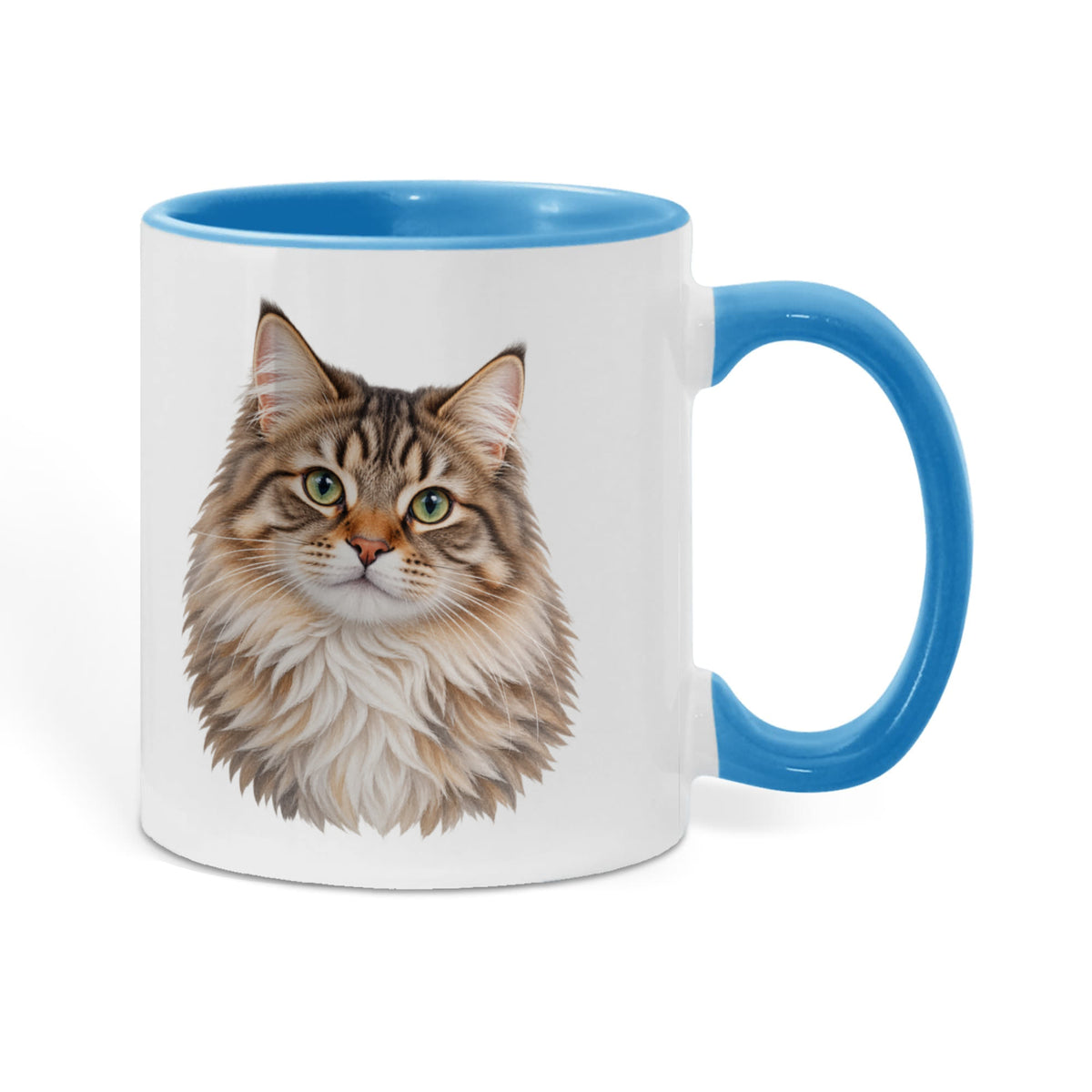 To My Loving Kitties