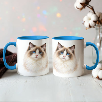 To My Loving Kitties