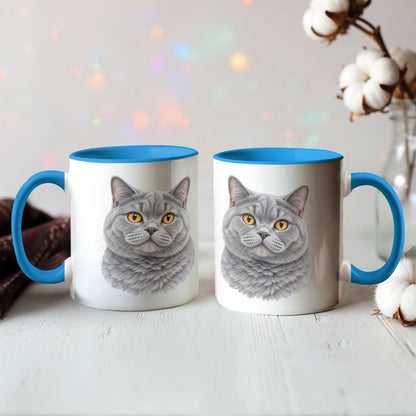 To My Loving Kitties