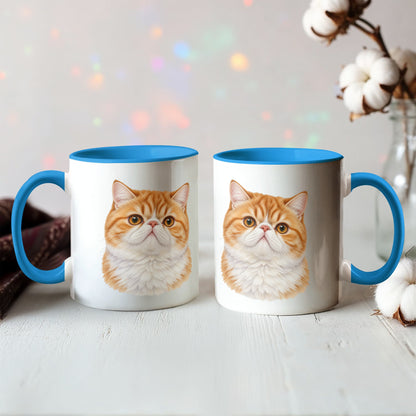 For The Love Of My Kitties