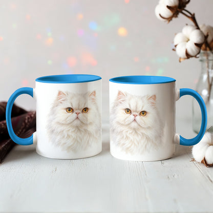 To My Loving Kitties