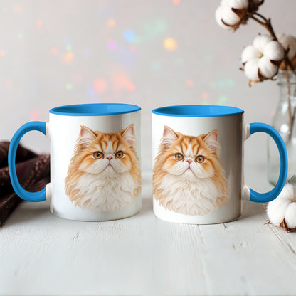 To My Loving Kitties