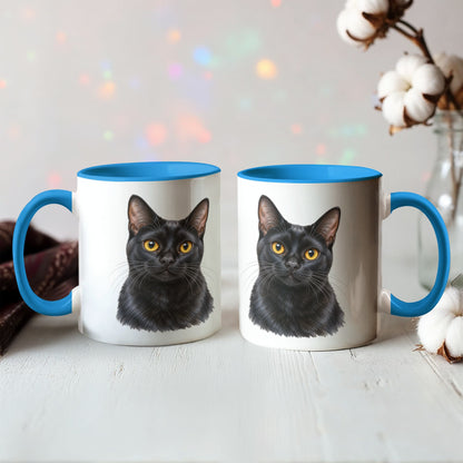 To My Loving Kitties