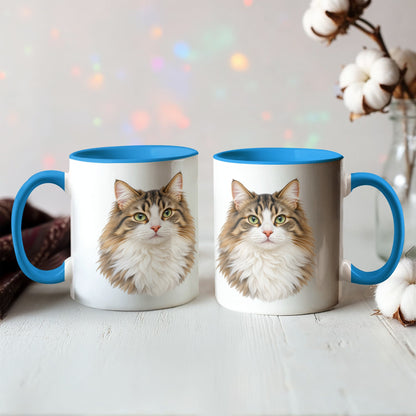 To My Loving Kitties