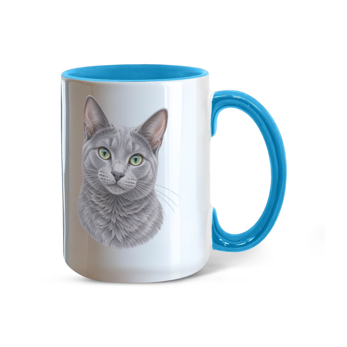 To My Loving Kitties