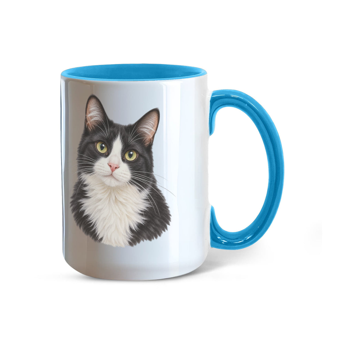 To My Loving Kitties