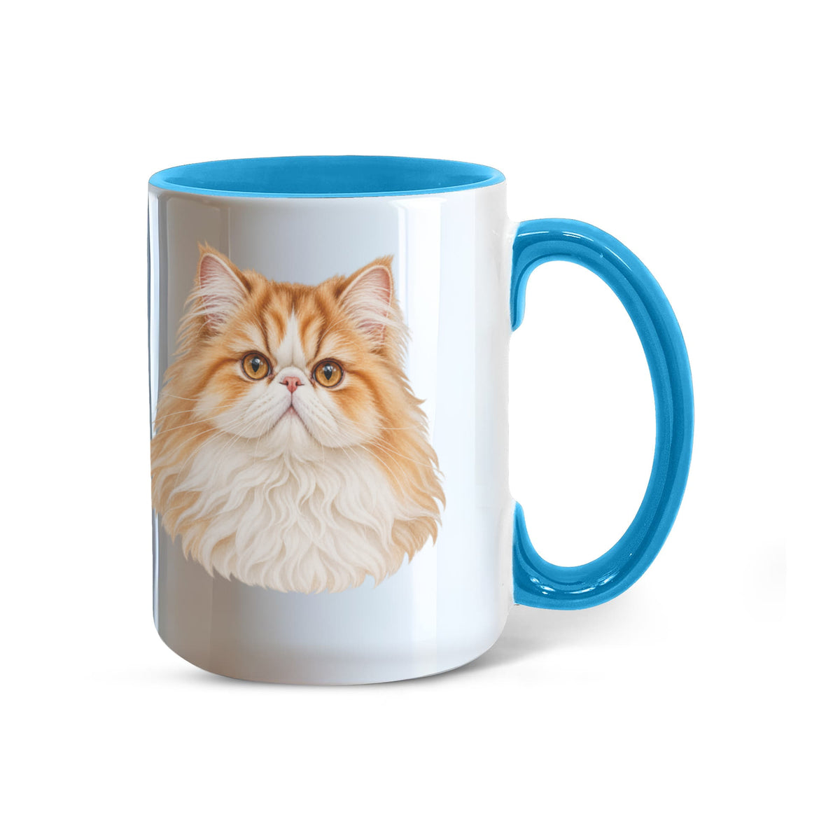 To My Loving Kitties