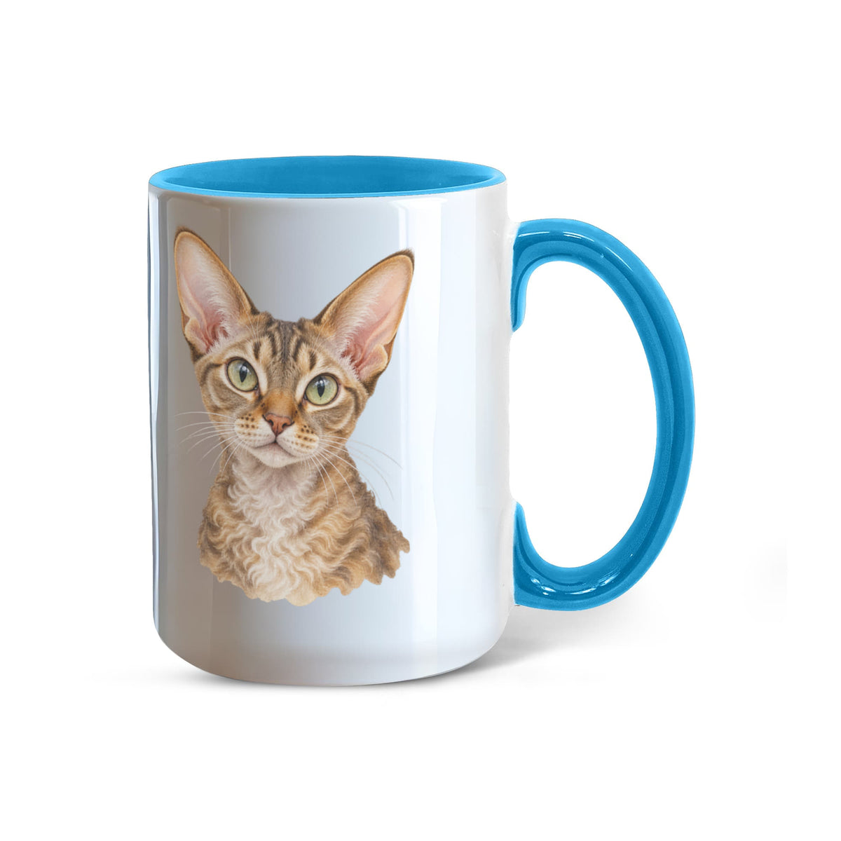 To My Loving Kitties