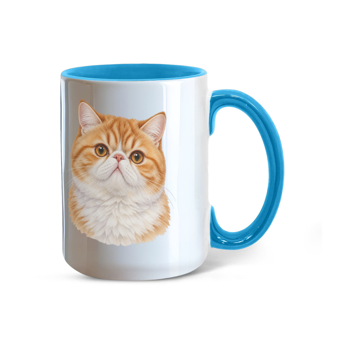 For The Love Of My Kitties