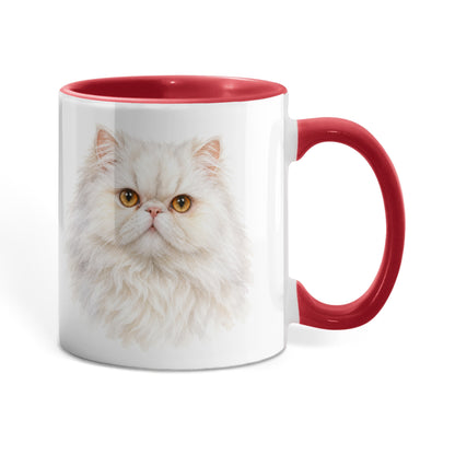 To My Loving Kitties