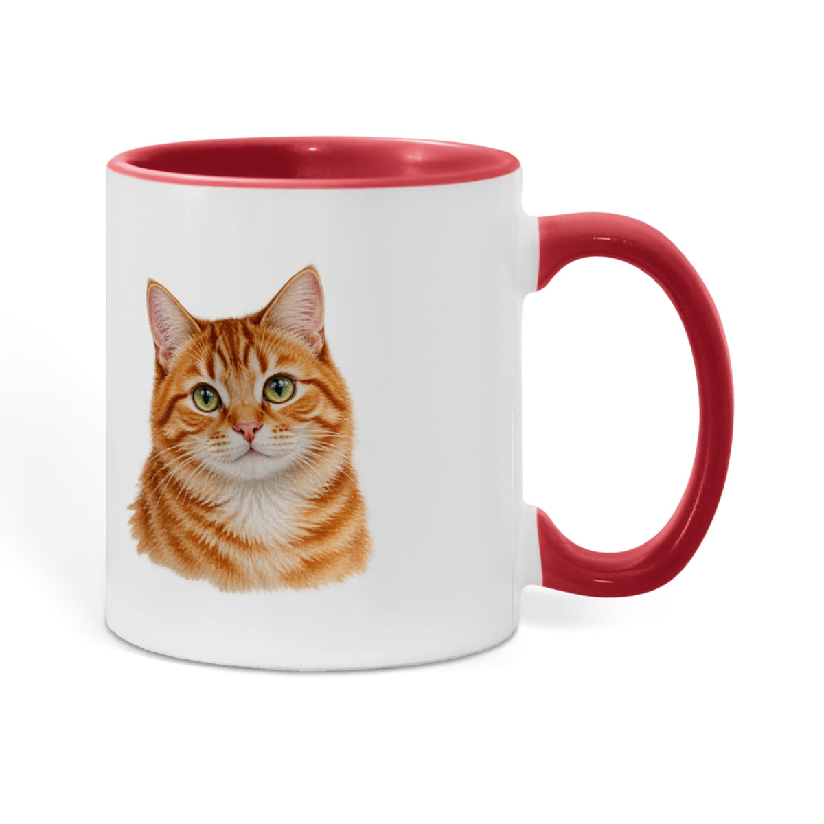 To My Loving Kitties
