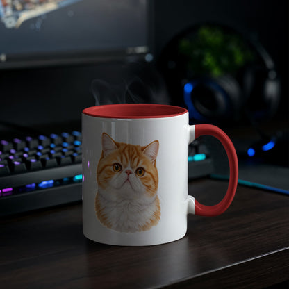 For The Love Of My Kitties