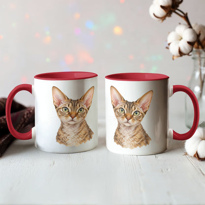 To My Loving Kitties