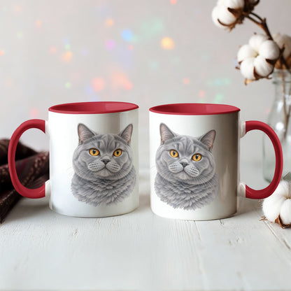 To My Loving Kitties