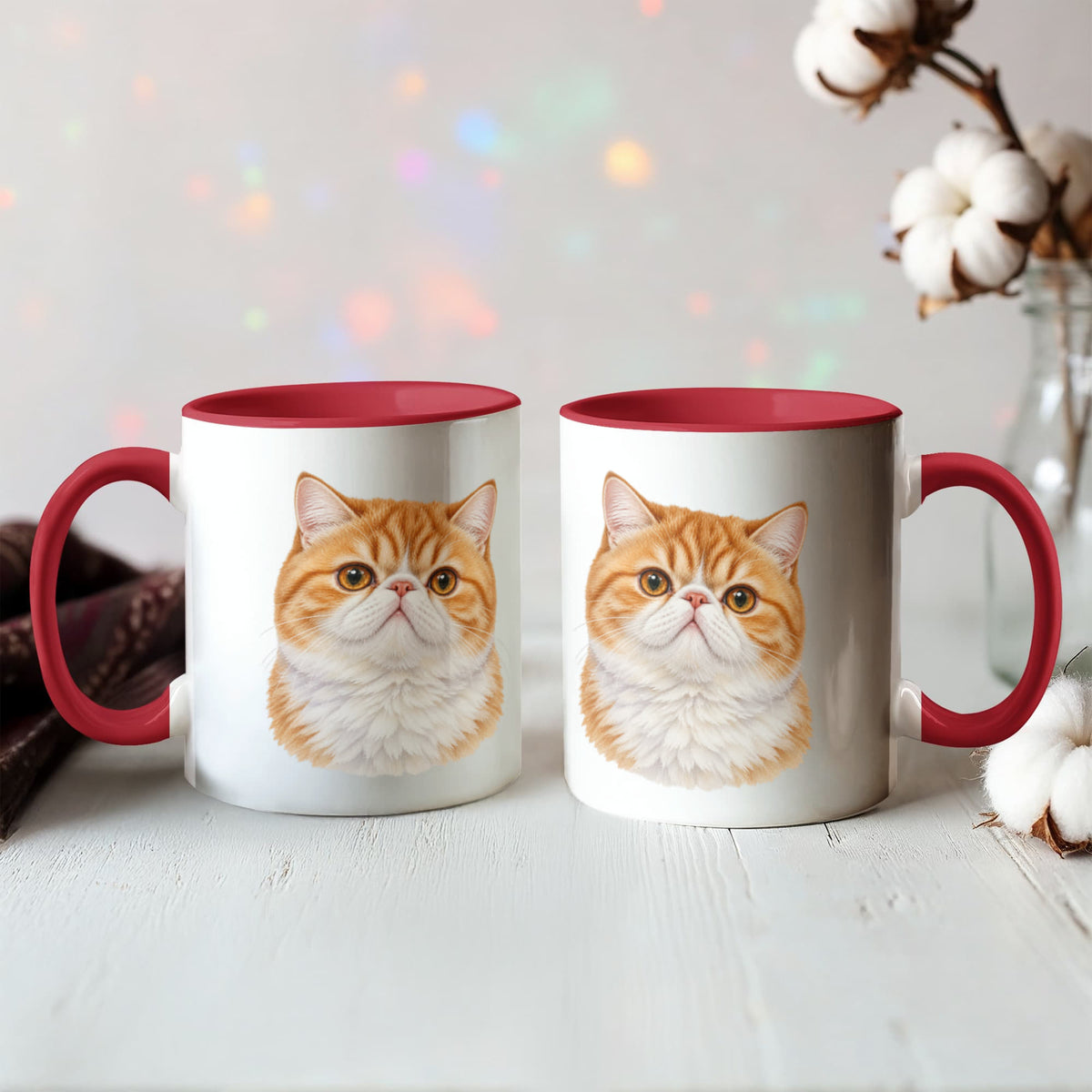 For The Love Of My Kitties