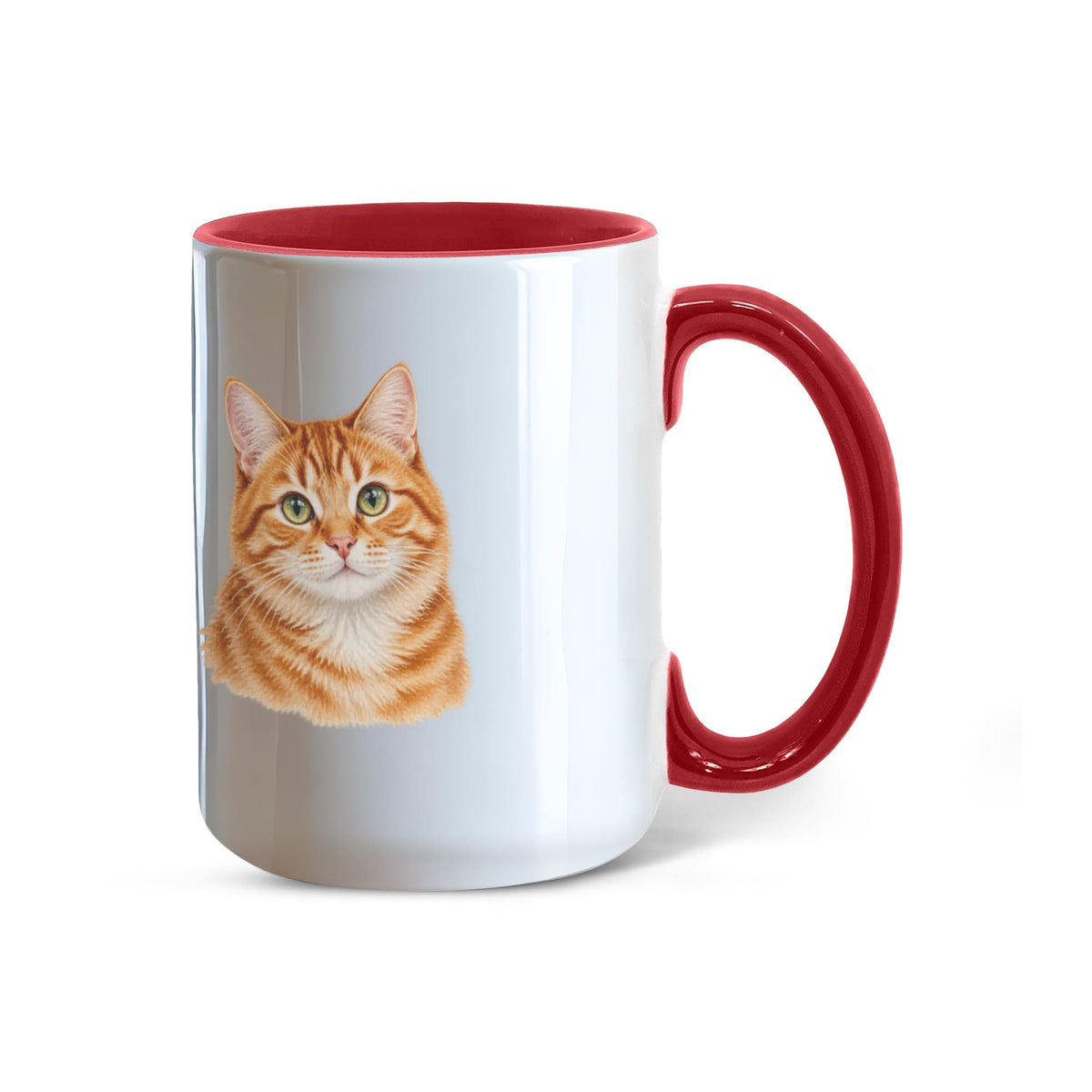 To My Loving Kitties