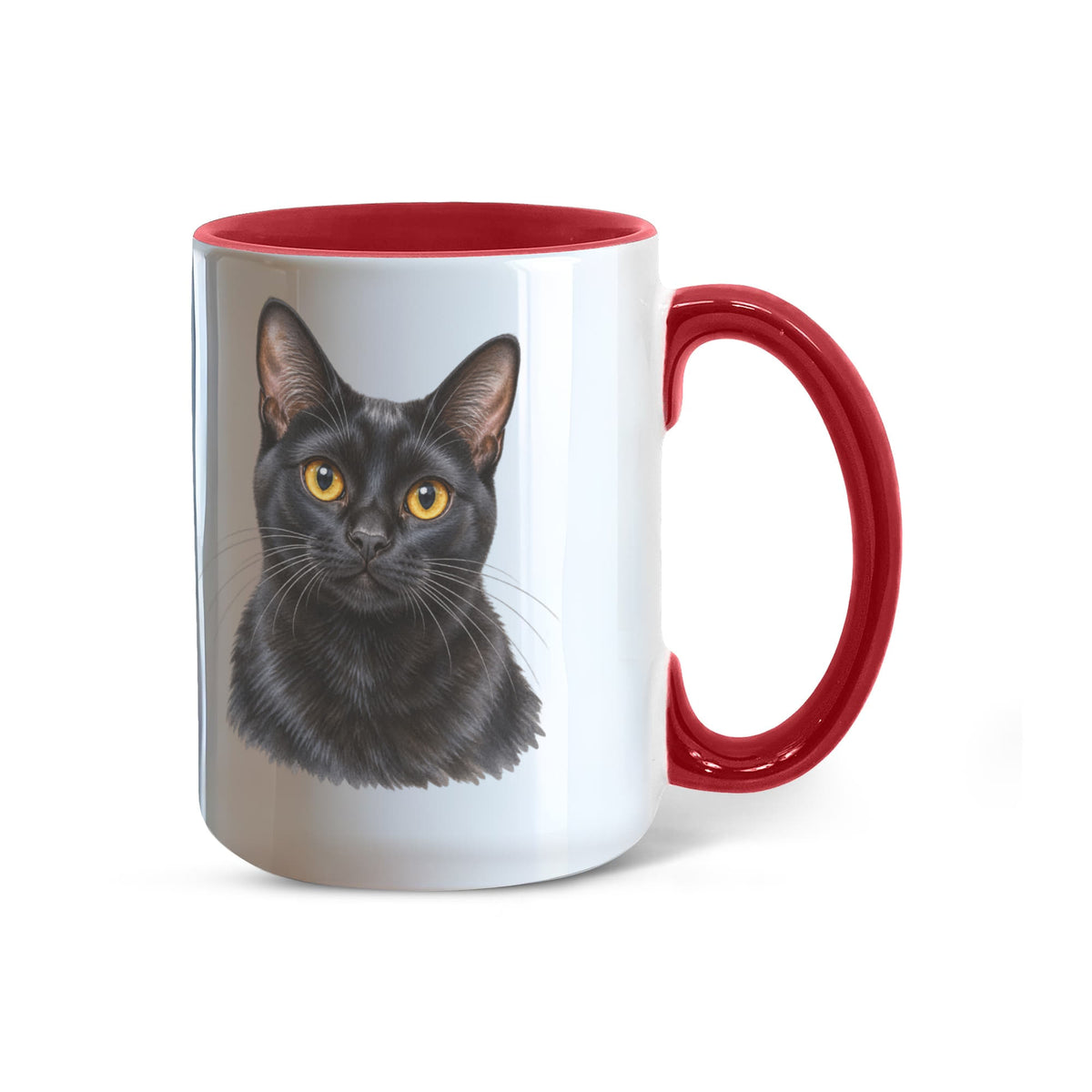 To My Loving Kitties
