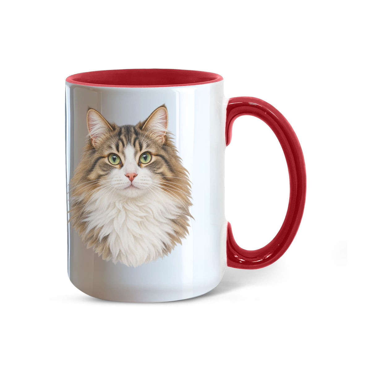 To My Loving Kitties