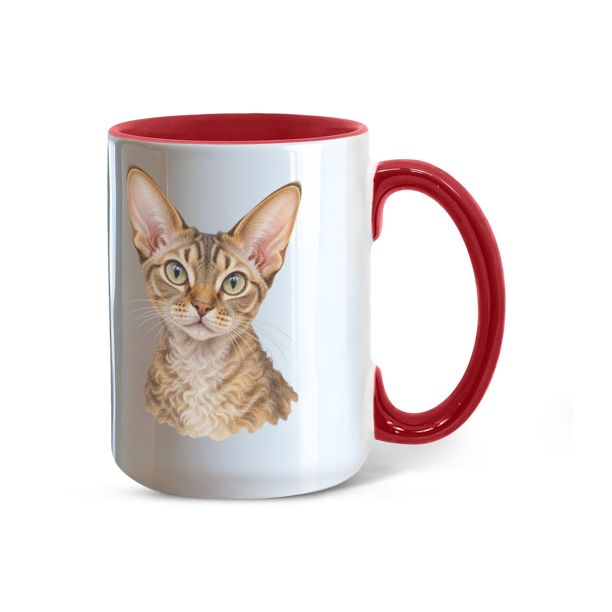 To My Loving Kitties
