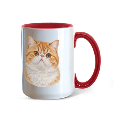 For The Love Of My Kitties