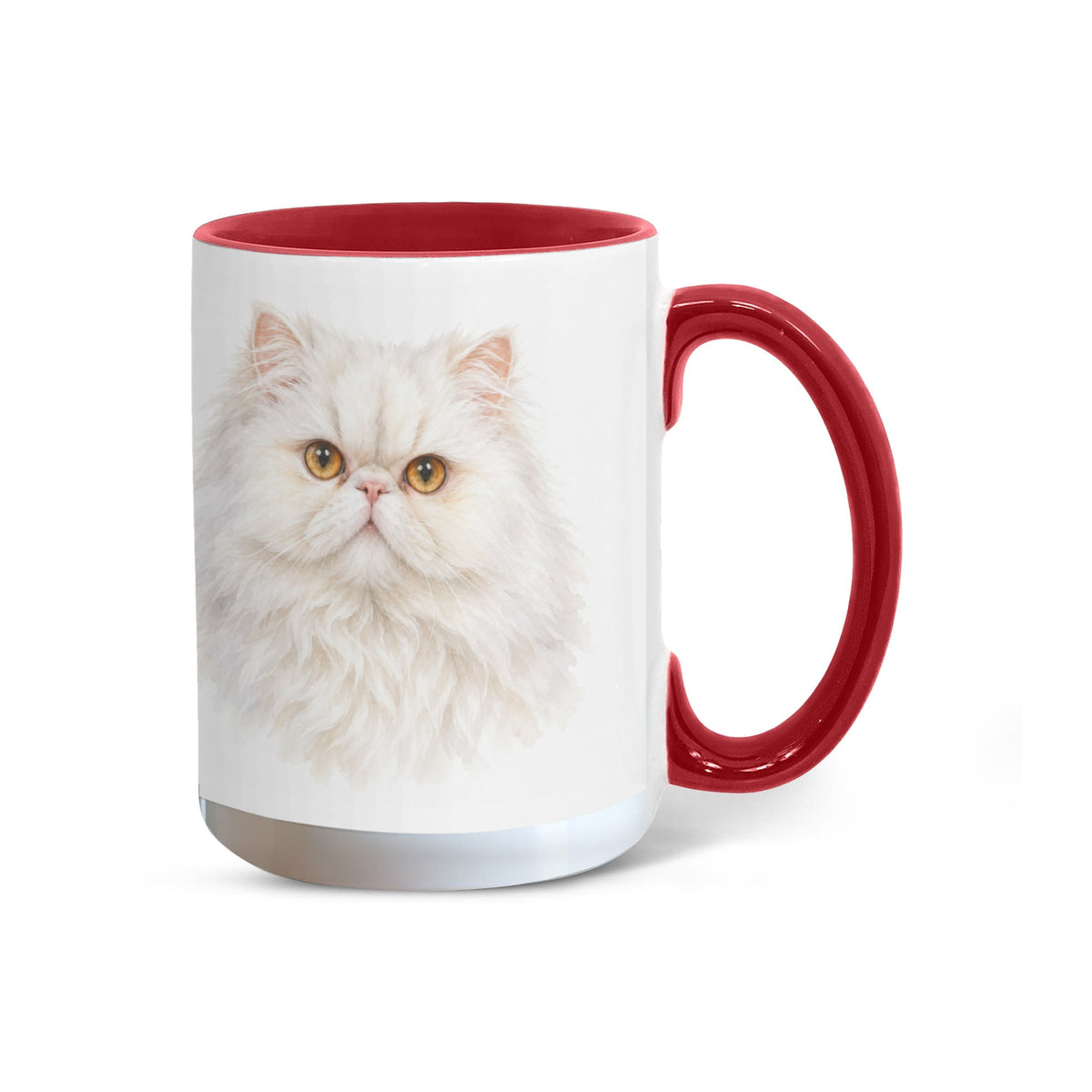 To My Loving Kitties