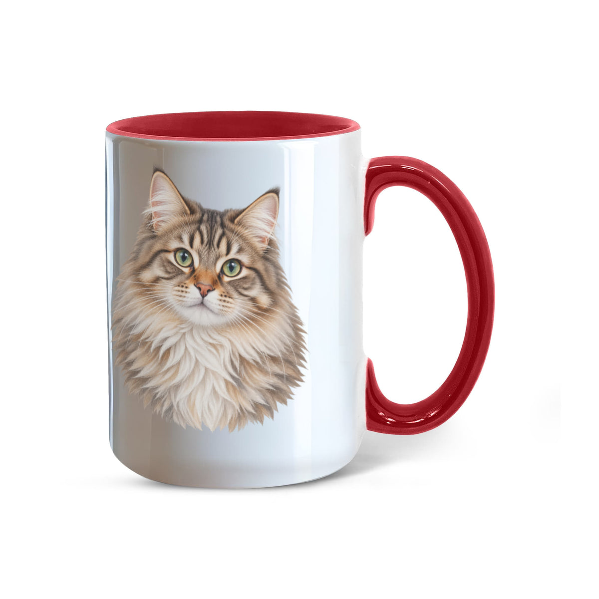 To My Loving Kitties