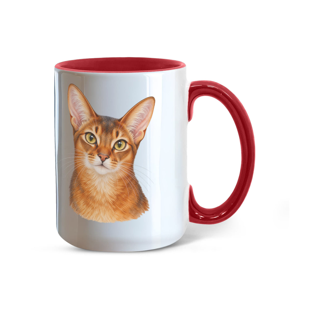 To My Loving Kitties