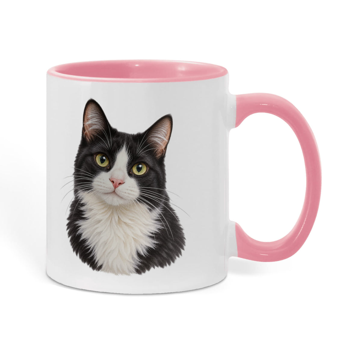 To My Loving Kitties
