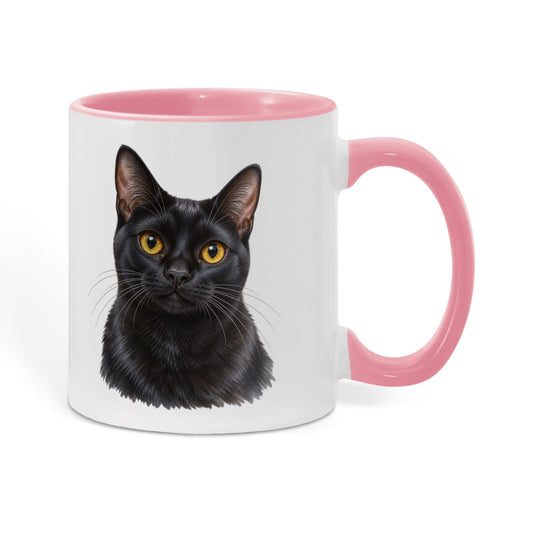 To My Loving Kitties