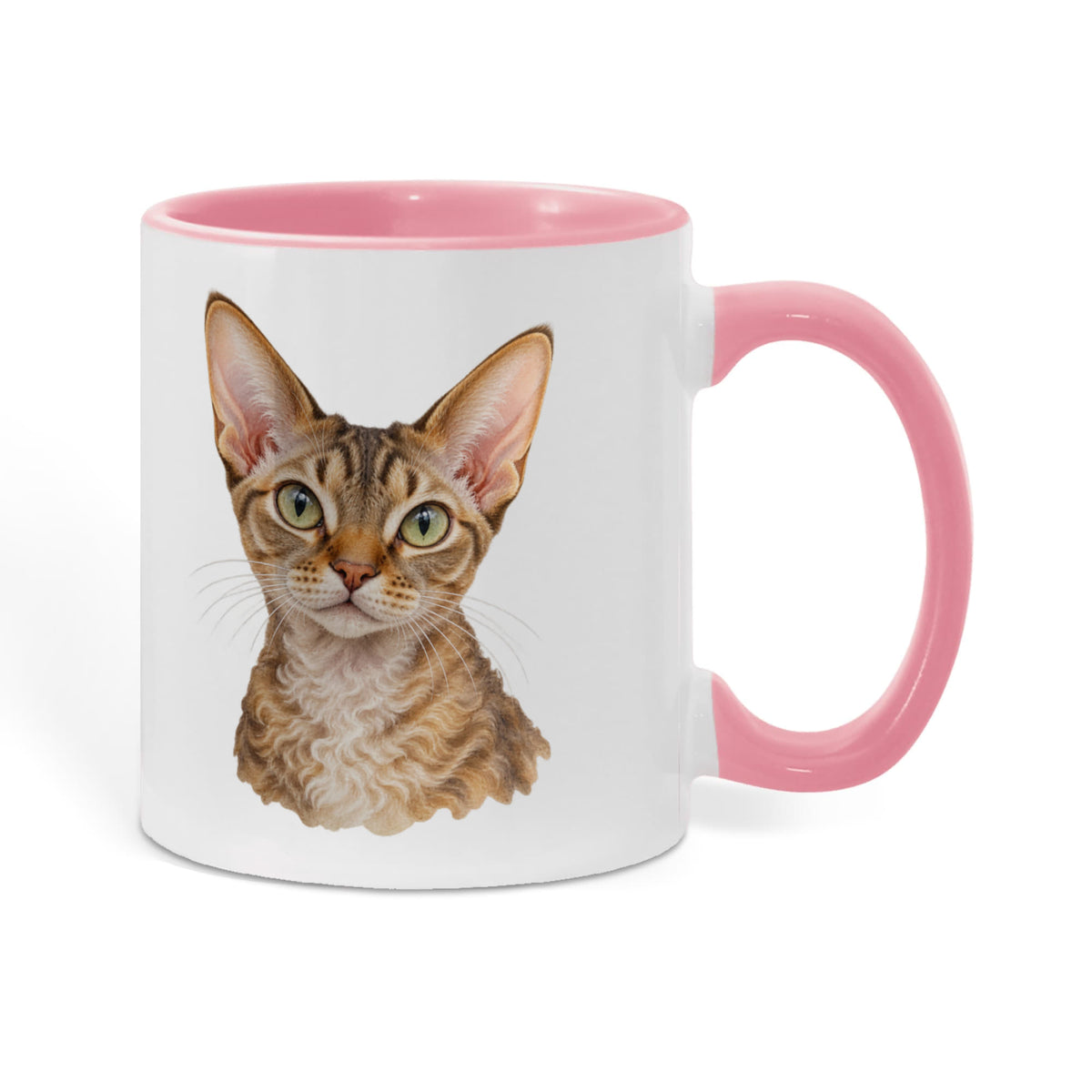 To My Loving Kitties