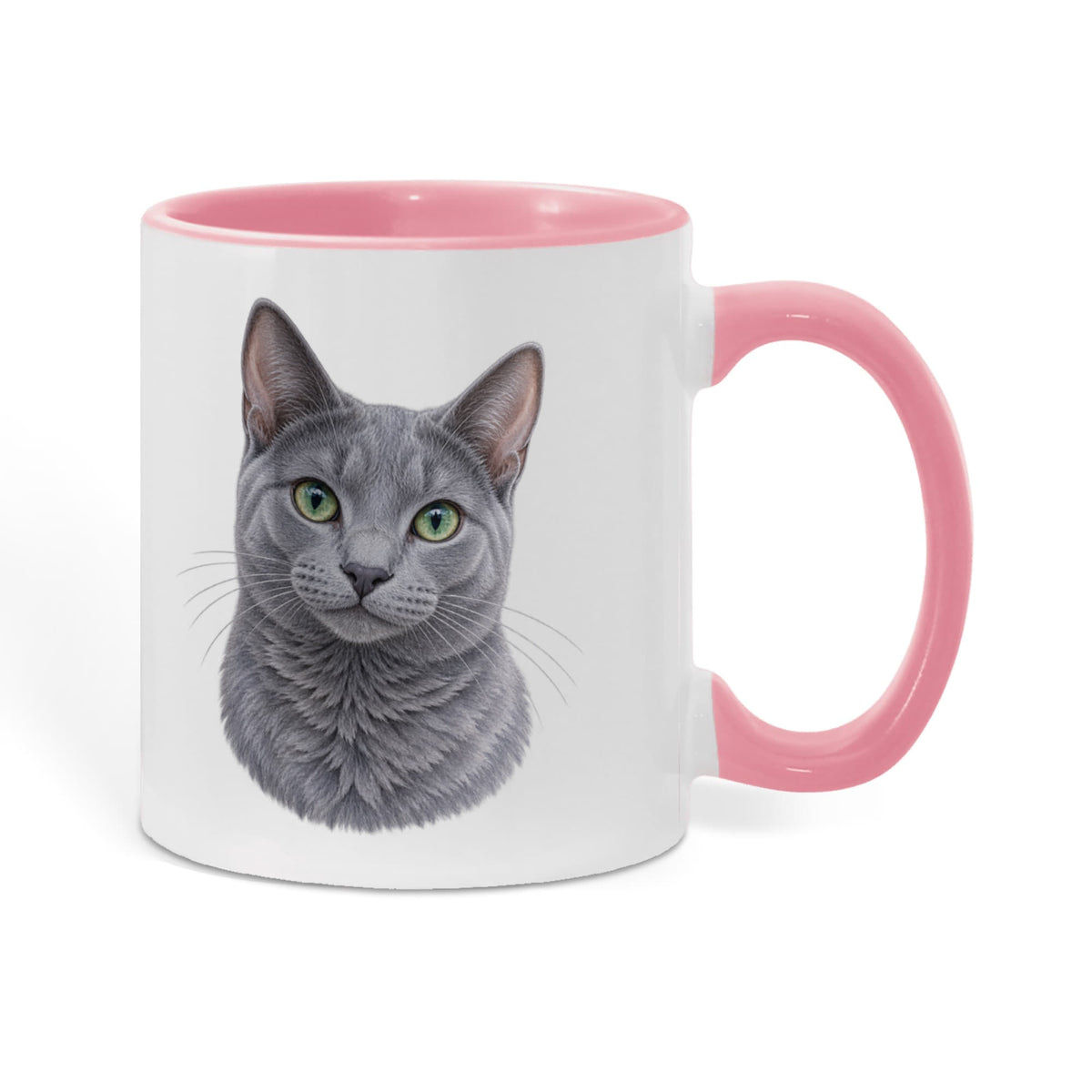 To My Loving Kitties