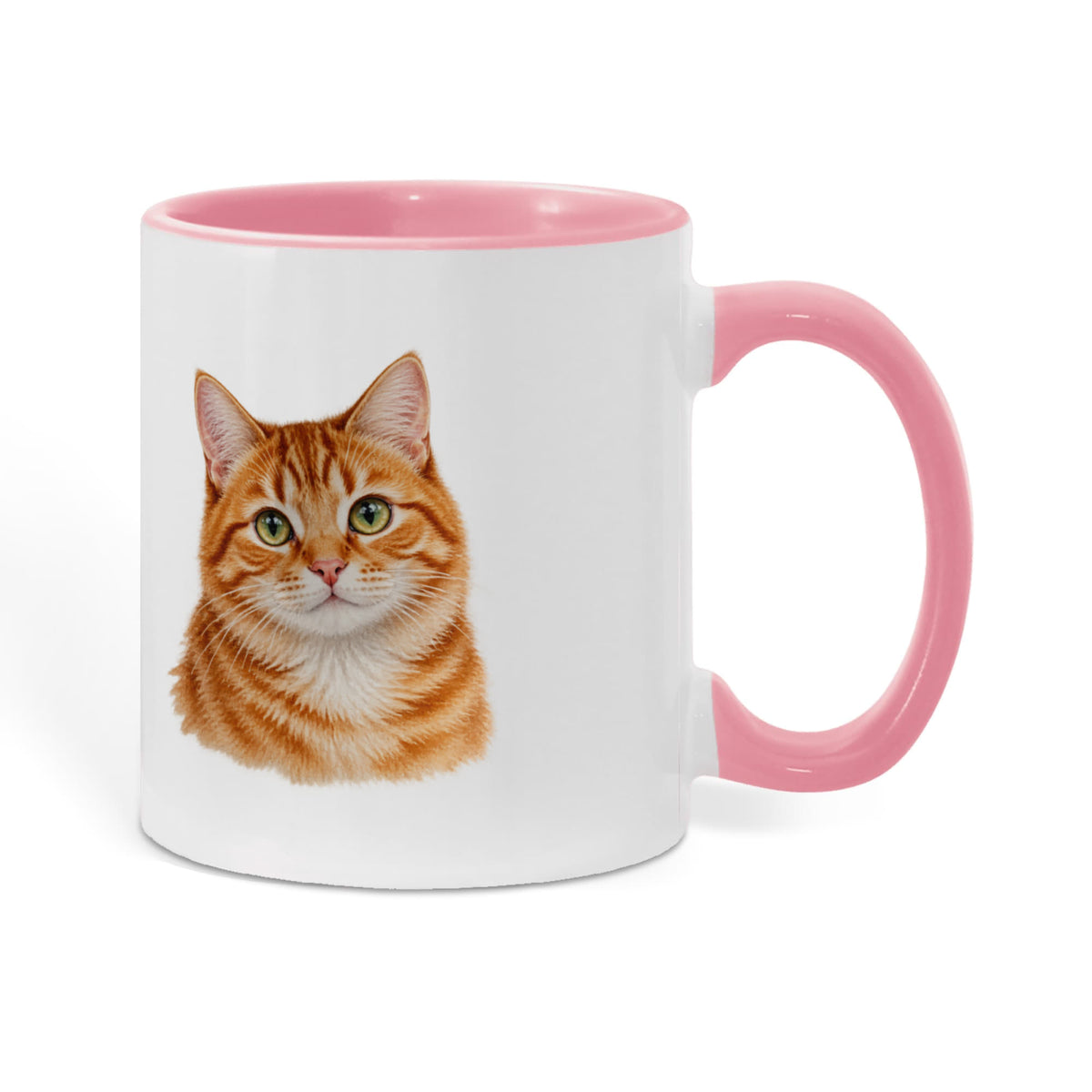 To My Loving Kitties