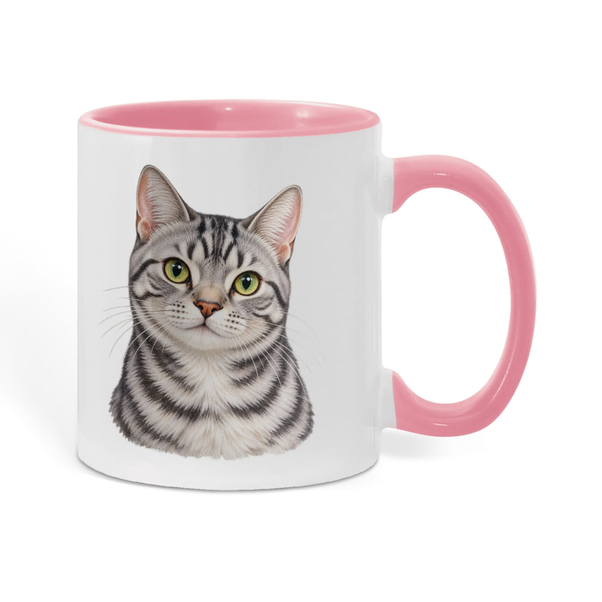To My Loving Kitties